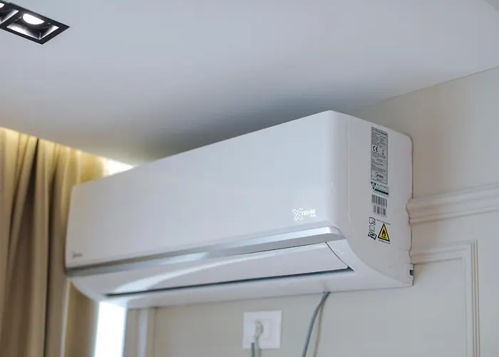 Miku -outstanding At Taiwan Tirana